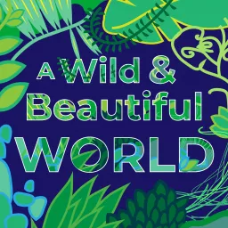 A Wild and Beautiful World Podcast artwork