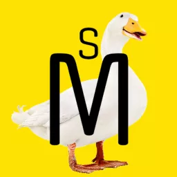 It's Not The Duck Podcast artwork
