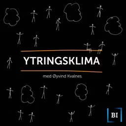 Ytringsklima