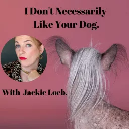 I Don't Necessarily Like Your Dog. Podcast artwork