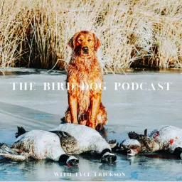 The Bird Dog Podcast artwork