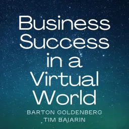 Business Success in a Virtual World Podcast artwork