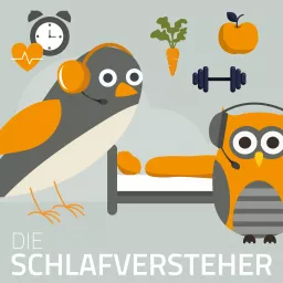 Schlafversteher Podcast artwork