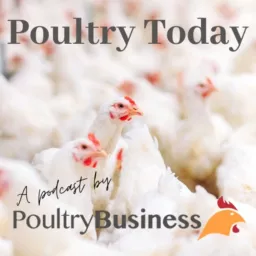 Poultry Today Podcast artwork
