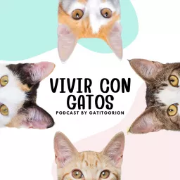 Vivir con Gatos