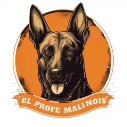 El Profe Malinois | Adiestramiento canino Podcast artwork