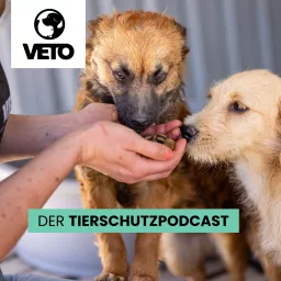 VETO - Der Tierschutz-Podcast