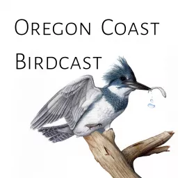 Oregon Coast Birdcast Podcast artwork