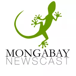 Mongabay Newscast Podcast artwork