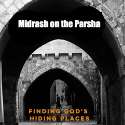 Midrash on every Parsha in the Torah. An intriguing pathway to a deeper understanding of Judaism.