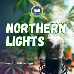Northern Lights Podcast artwork