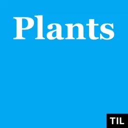 TIL: Plants Podcast artwork