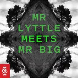 Mr Lyttle Meets Mr Big Podcast artwork