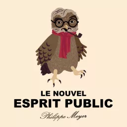 Le Nouvel Esprit Public Podcast artwork