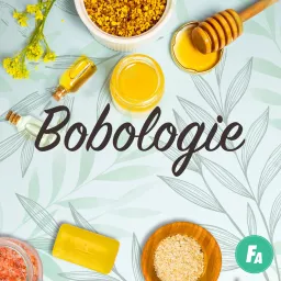 Bobologie