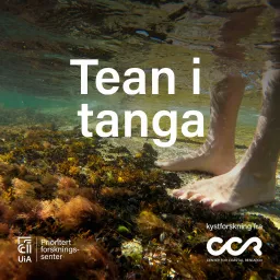 Tean i tanga Podcast artwork