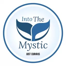 Into The Mystic: Tales From Hollywood East Podcast artwork