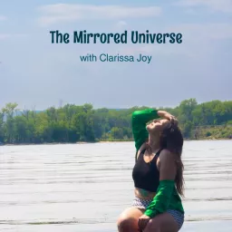 The Mirrored Universe