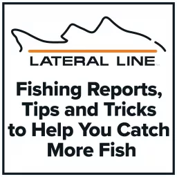 Fishing Reports by Lateral Line Fishing Journal Podcast artwork