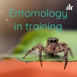 Entomology in training