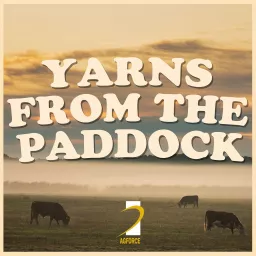 Yarns From the Paddock Podcast by AgForce Queensland artwork