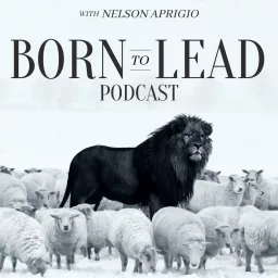 Born To Lead Podcast artwork