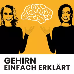 Gehirn einfach erklärt