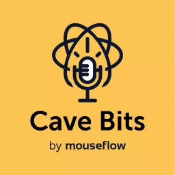 Cave Bits: Uncovering Website Analytics