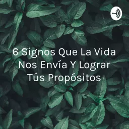 6 Signos Que La Vida Nos Envía Y Lograr Tús Propósitos Podcast artwork