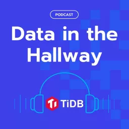 Data in the Hallway Podcast artwork