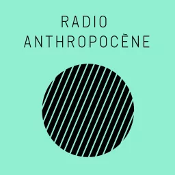 Radio Anthropocène à la rencontre de la photographie - Arles 2023 Podcast artwork