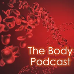 The Body Podcast artwork