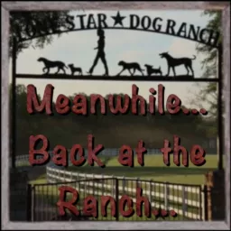 Meanwhile...Back at the Ranch Podcast artwork