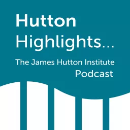 Hutton Highlights: Podcast artwork
