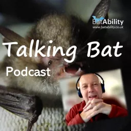 Talking Bat Podcast artwork