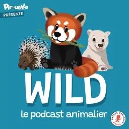 Wild, le podcast animalier artwork