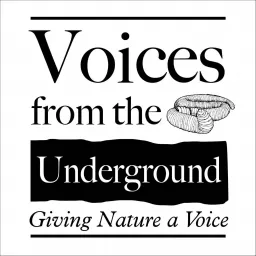 Voices from the Underground - Giving Nature a Voice