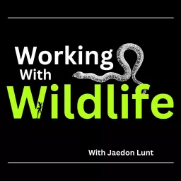 Working With Wildlife Podcast artwork