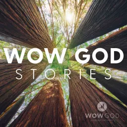 Wow God Stories Podcast artwork