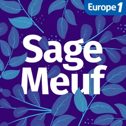 Sage-Meuf, le podcast maternité qui vous accompagne pendant la grossesse et après l'accouchement artwork