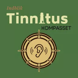 Tinnituskompasset - Indblik