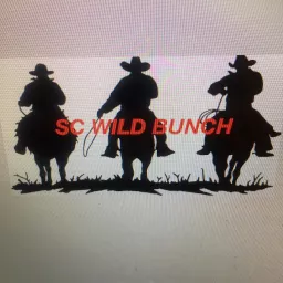 SCwildbunch Podcast artwork