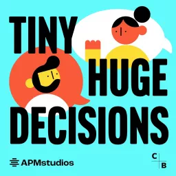 Tiny Huge Decisions Podcast artwork
