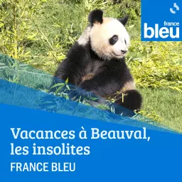 Vacances à Beauval