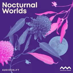 Nocturnal Worlds Podcast artwork