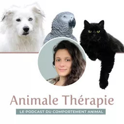 Animale Therapie Podcast artwork
