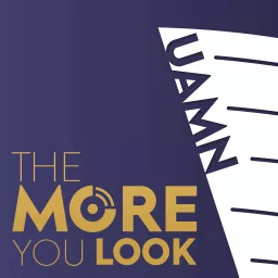 The More You Look Podcast artwork