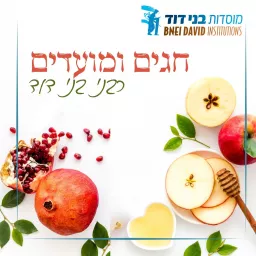 חגים ומועדים - רבני בני דוד