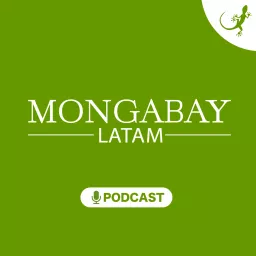 Mongabay Latam