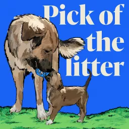 Pick of the Litter Podcast artwork